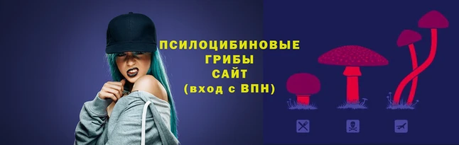 кокс Алексеевка