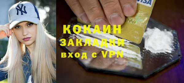 тгк Пересвет